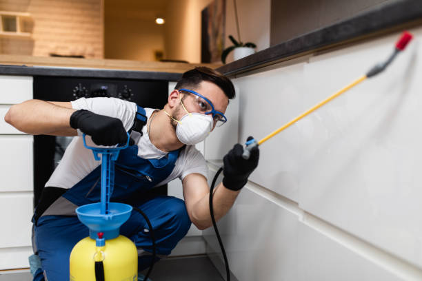 Best Mosquito Control Services  in Bartonvle, IL