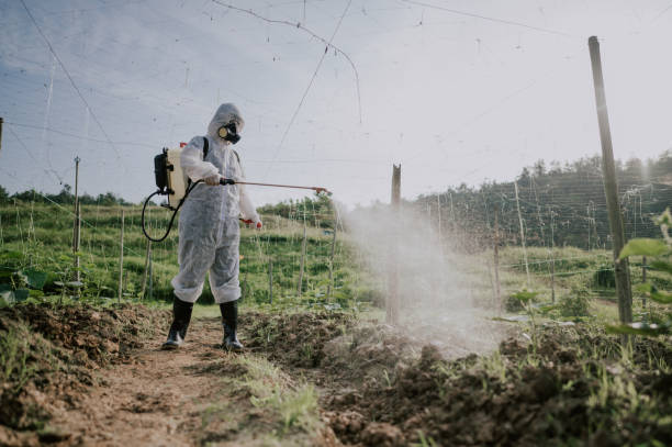 Best Ant Control Services  in Bartonvle, IL