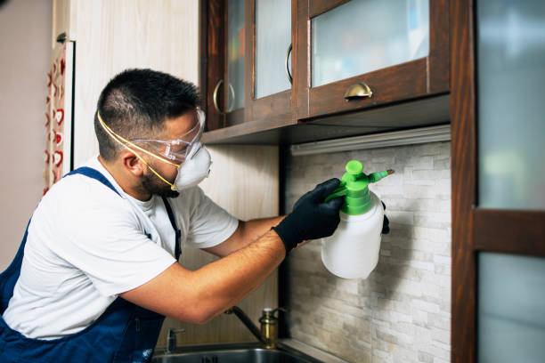 Best Emergency Pest Control  in Bartonvle, IL