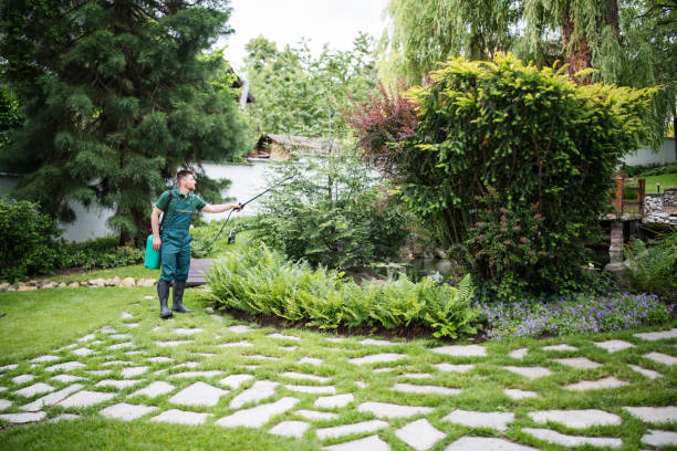 Best Mosquito Control Services  in Bartonvle, IL