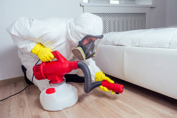Flea Control Services in Bartonville, IL