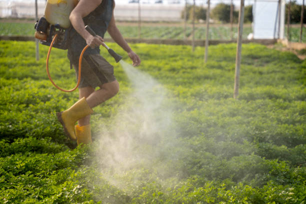 Best Exterminator Services  in Bartonvle, IL