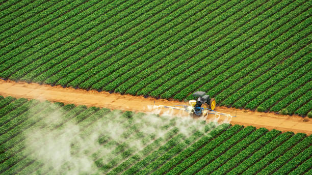 Best Insect Control  in Bartonvle, IL