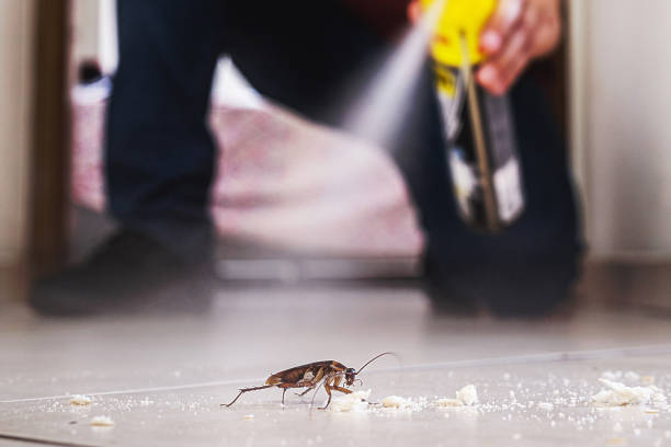 Best Mosquito Control Services  in Bartonvle, IL