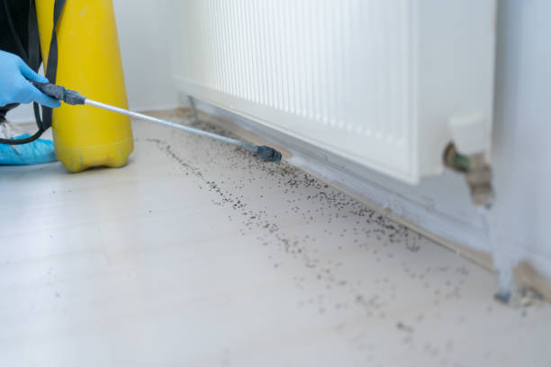 Best Pest Control Treatment  in Bartonvle, IL